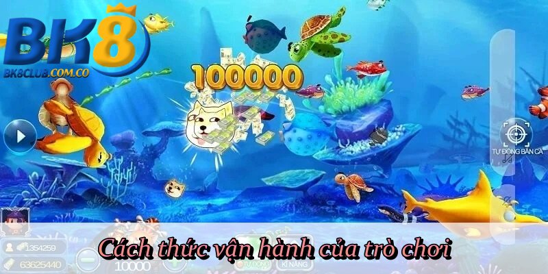 Cách thức vận hành của trò chơi 