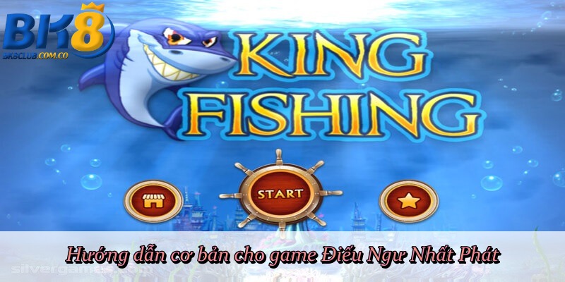 Hướng dẫn cơ bản cho game Điếu Ngư Nhất Phát