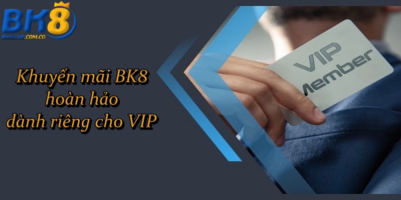 Khuyến mãi BK8 hoàn hảo dành riêng cho VIP