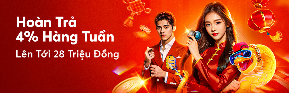 Promotion hoàn trả